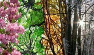 screenshot_2016-09-18-15-59-35_crop_540x315