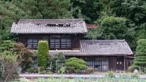 dsc_0003_crop_960x539