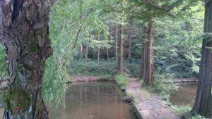 dsc_0015_crop_960x540