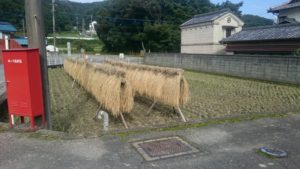 dsc_0016_crop_960x540