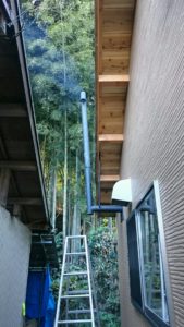 dsc_0025_crop_539x959